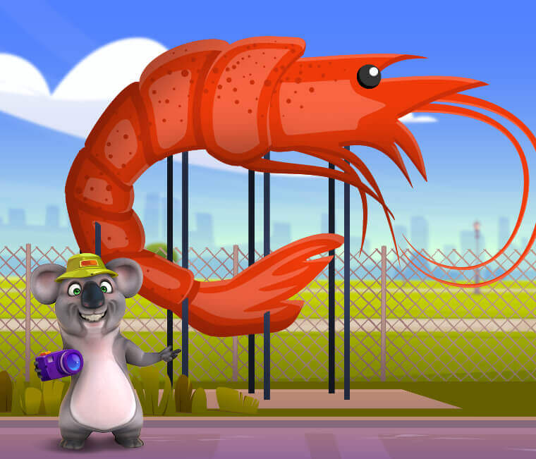 Where&rsquo;s the big koala?